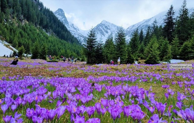 Ce să vizitezi în Munții Făgăraș în sezonul de vară