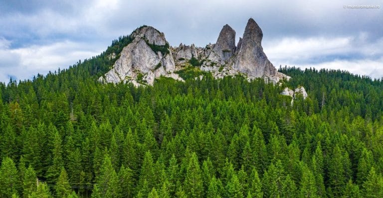 Munții Rarău – ghid complet, atracții și trasee turistice Munții Rarău