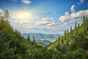 Drumeții ușoare în Carpații Orientali – ghid pentru familii