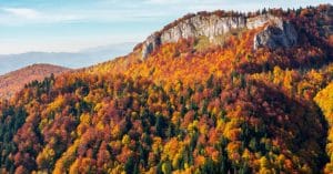 Observarea faunei în Carpații Orientali – unde și când