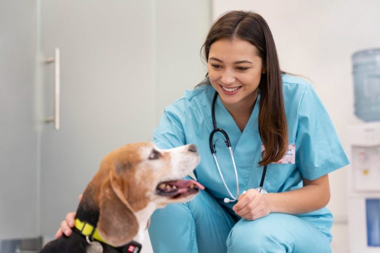 Importanța controlului regulat la veterinar pentru sănătatea animalelor de companie