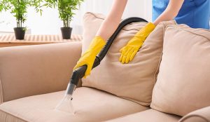 couch cleaning process